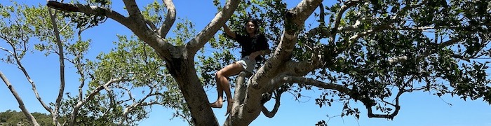 Heata-Nui bannière dans un arbre, Heata-Nui banner in a tree, lifeschool, ISTA, ISTA-TOOFA