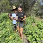 Jardin de Glenda et Stéphane, Tomo, Nouvelle Calédonie, légumes frais, la nature en abondance, Heata-Nui ISTA-TOOFA, photo Vanie TOOFA