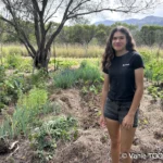 Jardin de Glenda et Stéphane, Tomo, Nouvelle Calédonie, légumes frais, la nature en abondance, Heata-Nui ISTA-TOOFA, photo Vanie TOOFA